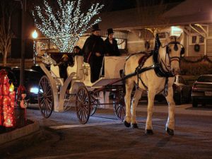 carriage-rides-downtown-xmas